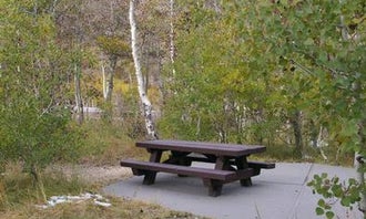 Camping near South Ruby Campground: Humboldt-Toiyabe National Forest Terraces Picnic and Group Camping Site, Lamoille, Nevada