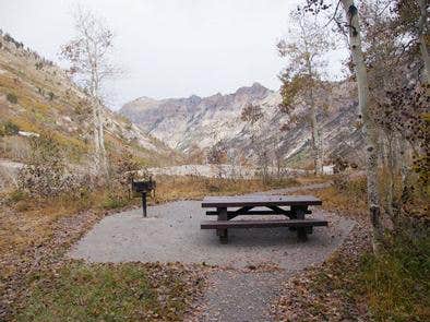 Camper submitted image from Humboldt-Toiyabe National Forest Terraces Picnic and Group Camping Site - 4