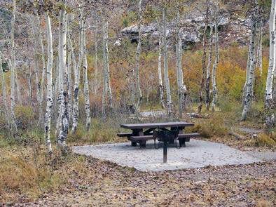 Camper submitted image from Humboldt-Toiyabe National Forest Terraces Picnic and Group Camping Site - 2