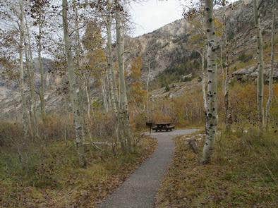 Camper submitted image from Humboldt-Toiyabe National Forest Terraces Picnic and Group Camping Site - 5