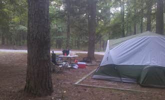 Camping near Lake Greenwood Motorcoach Resort: Parsons Mountain Lake Campground, Abbeville, South Carolina