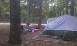 Camping near Lake Greenwood State Park Campground: Parsons Mountain Lake, Abbeville, South Carolina