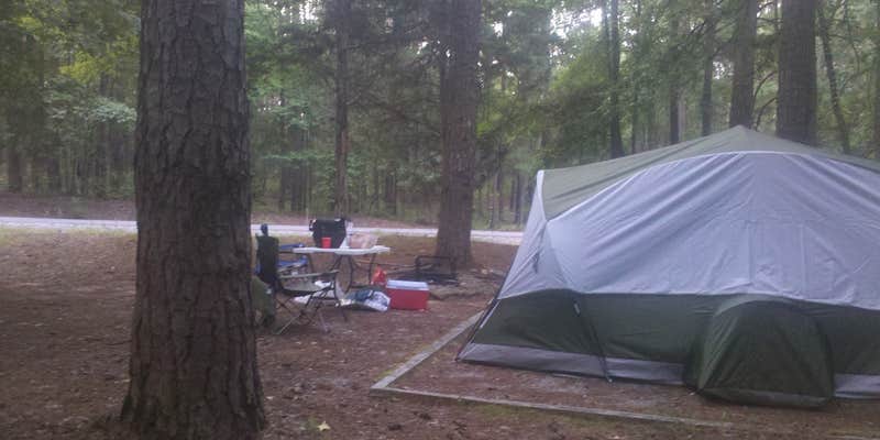 Camper submitted image from Parsons Mountain Lake Campground