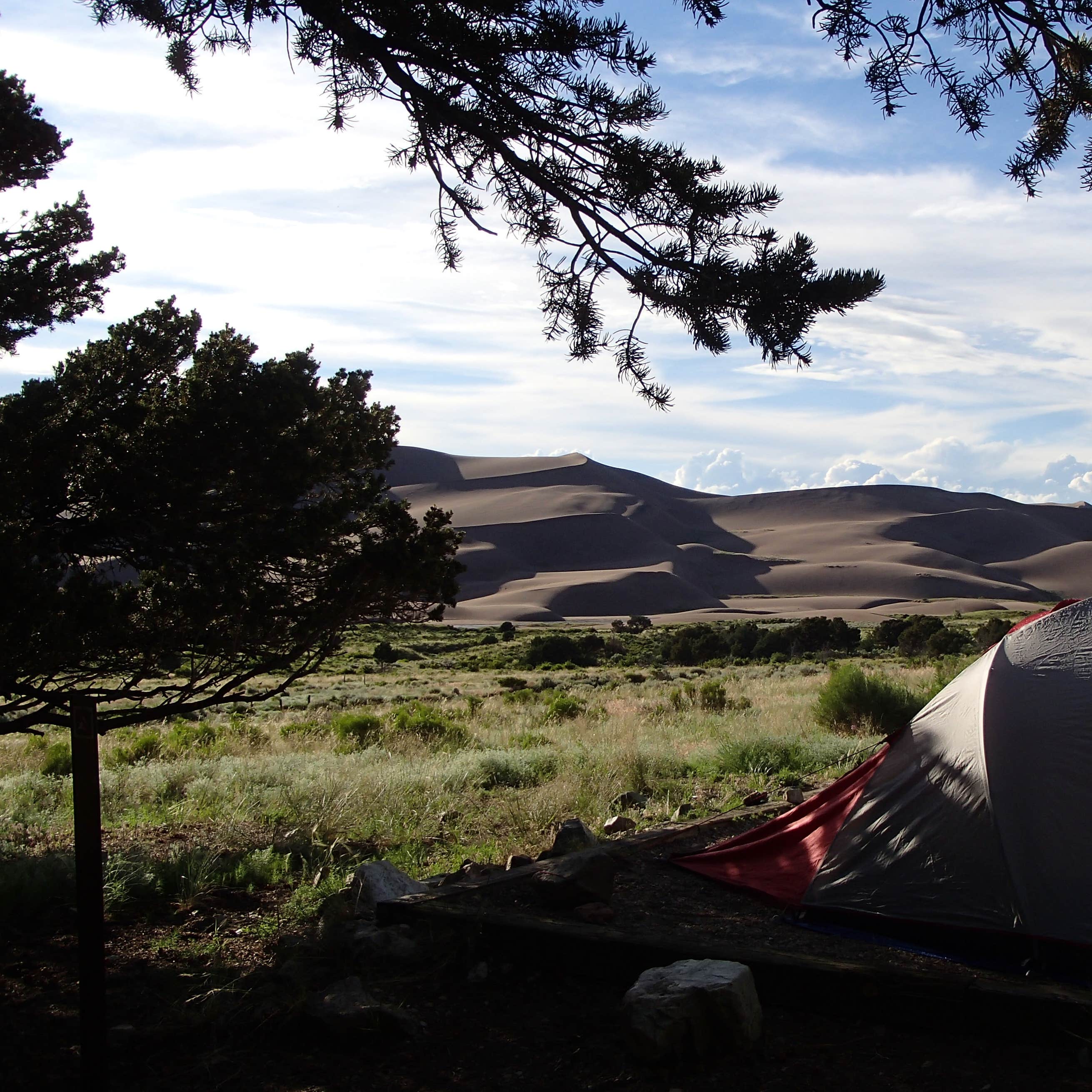 Pinon Flats Campground Camping The Dyrt