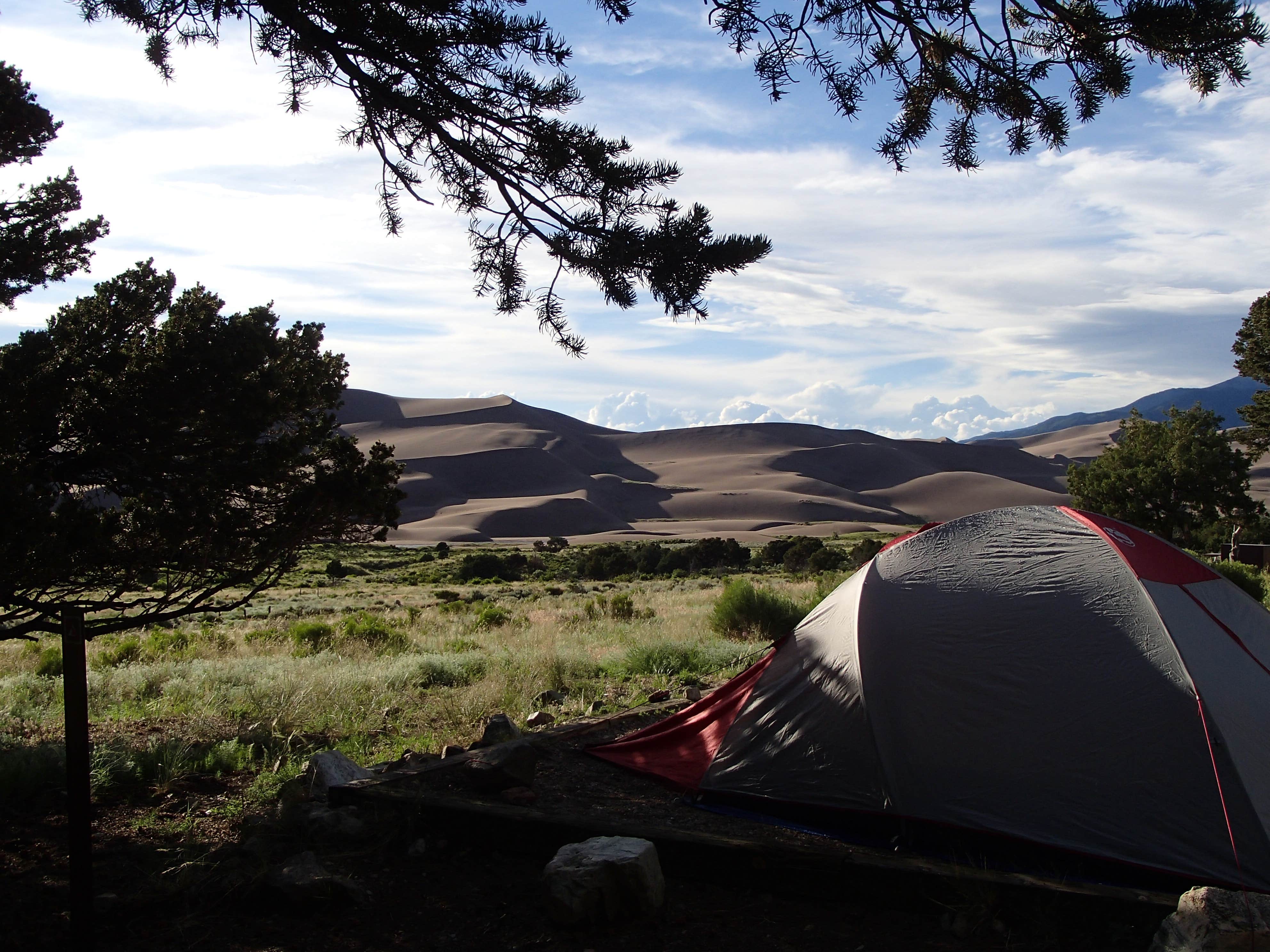 Camper submitted image from Pinon Flats Campground — Great Sand Dunes National Park - 5