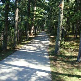 Public Campgrounds: Norway Beach - Chippewa Campground Loop