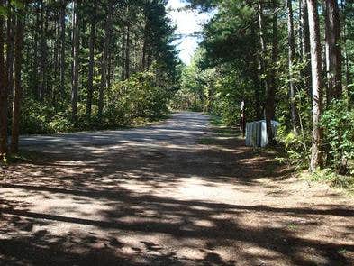 Camper submitted image from Norway Beach - Chippewa Campground Loop - 3