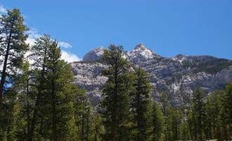 Camping near Kyle Canyon Campground: Foxtail Grp Picnic Area, Mount Charleston, Nevada