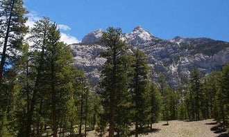Camping near Kyle Canyon Campground (formerly Day Use only): Foxtail Grp Picnic Area, Mount Charleston, Nevada