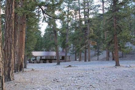 Camper submitted image from Foxtail Grp Picnic Area - 4