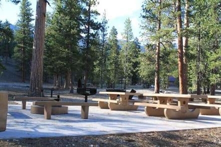 Camper submitted image from Foxtail Grp Picnic Area - 2