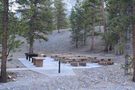 Foxtail Grp Picnic Area



Credit: