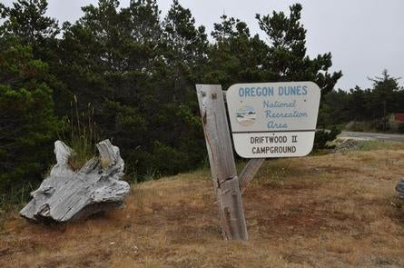 Weathered wooden sign in front of shore pine trees that says "OREGON DUNES National Recreation Area DRIFTWOOD II CAMPGROUND.



Driftwood

Credit: USFS