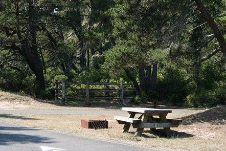 Camper submitted image from Wild Mare Horse Campground - 4