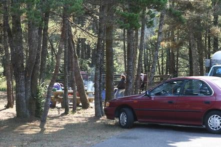Camper submitted image from Wild Mare Horse Campground - 1
