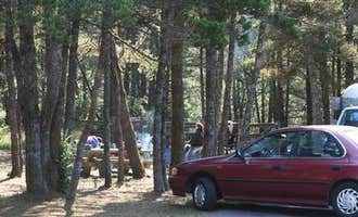 Camping near Bay Point Landing: Wild Mare Horse Campground, North Bend, Oregon