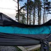 Review photo of Mount Mitchell State Park Campground by Alyssa F., September 7, 2016