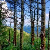 Review photo of Mount Mitchell State Park Campground by Alyssa F., September 7, 2016