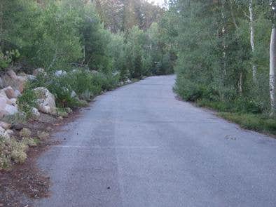 Camper submitted image from Inyo National Forest Rock Creek Lake Campground - 4