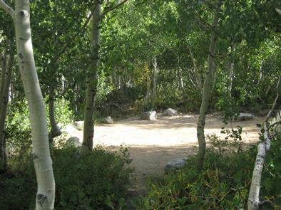 Camper submitted image from Inyo National Forest Table Mountain Group Campground - 5