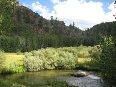 Camper submitted image from Inyo National Forest Table Mountain Group Campground - 5