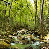 Review photo of Jones Gap State Park Campground by Alyssa F., September 7, 2016