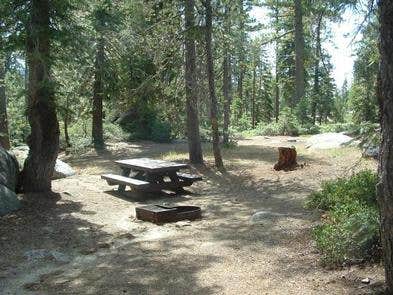 Camper submitted image from Big Meadow Campground - 3