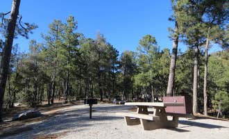 Camping near Palisades Ranger Residence Cabin: Rose Canyon Campground, Willow Canyon, Arizona