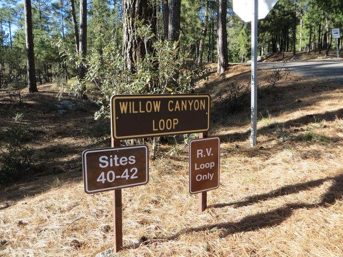 Camper submitted image from Rose Canyon Campground - 4