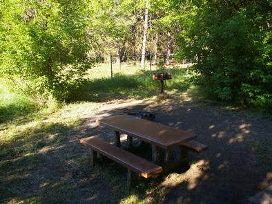 Camper submitted image from Third Fork Cabin - 4