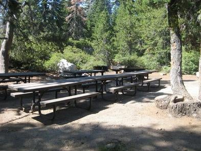 Camper submitted image from Red Fir Group Campground - 1