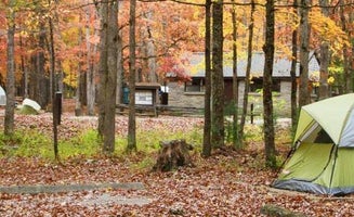 Camper-submitted photo from Cades Cove Campground — Great Smoky Mountains National Park