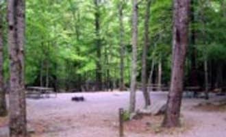 Camping near Cades Cove Campground: Cades Cove Group Campground — Great Smoky Mountains National Park, Townsend, Tennessee