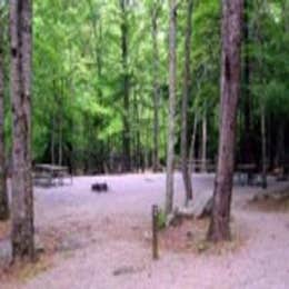 Cades Cove Group Campground — Great Smoky Mountains National Park