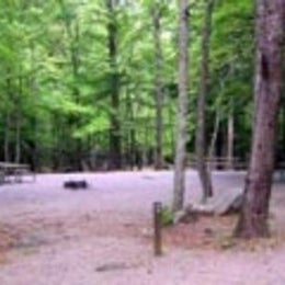 Public Campgrounds: Cades Cove Campground — Great Smoky Mountains National Park