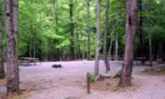 Camping near Abrams Creek Campground — Great Smoky Mountains National Park: Cades Cove Campground — Great Smoky Mountains National Park, Townsend, Tennessee