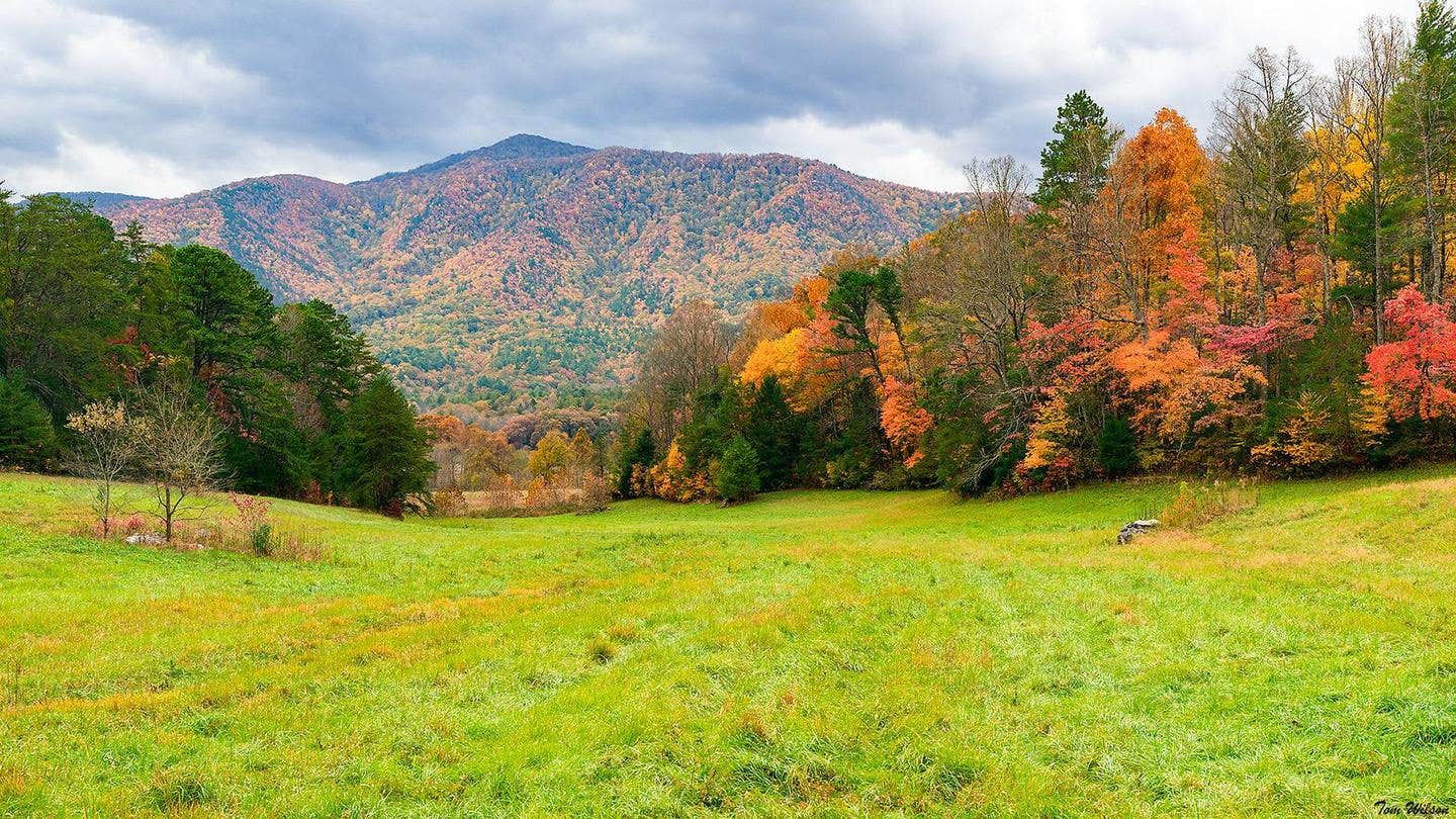Camper submitted image from Cades Cove Group Campground — Great Smoky Mountains National Park - 1