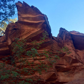 Review photo of Cave Springs by Morgan Z., September 7, 2016
