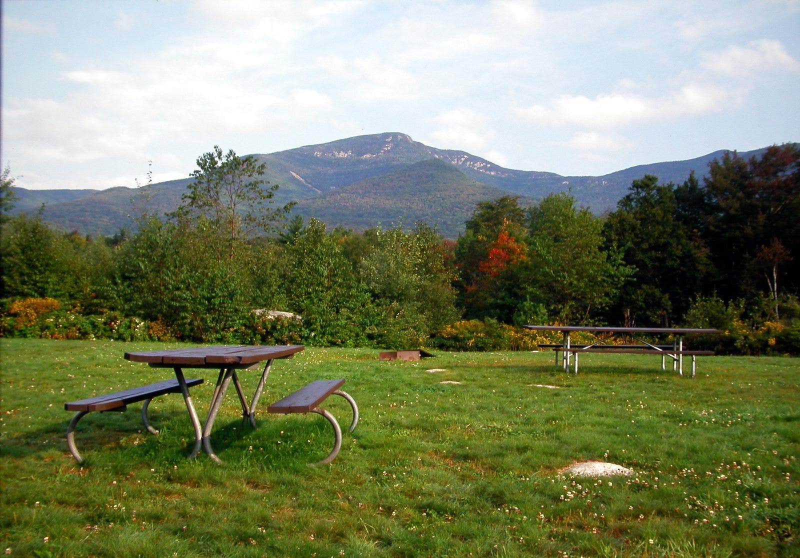 Camper submitted image from Osceola Vista Campground - 2