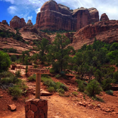 Review photo of Cave Springs by Morgan Z., September 7, 2016