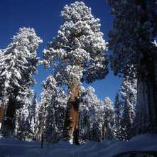 Public Campgrounds: Lodgepole Campground — Sequoia National Park
