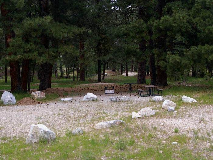 Camper submitted image from Elks Flat Campground - 4