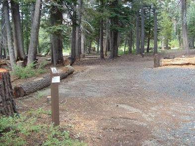 Camper submitted image from (lake Alpine) Lodgepole Campground - 4