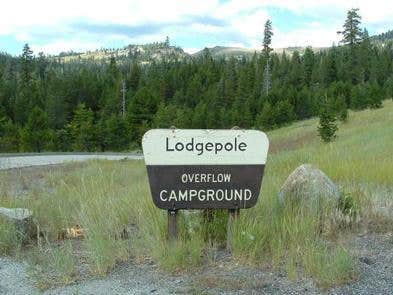 Camper submitted image from (lake Alpine) Lodgepole Campground - 3