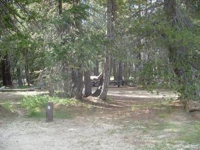 Camper submitted image from (lake Alpine) Lodgepole Campground - 1