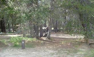 Camping near Silvertip Campground: (lake Alpine) Lodgepole Campground, Bear Valley, California