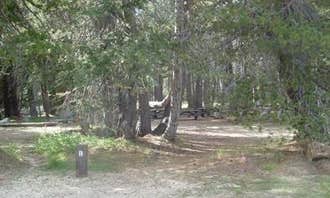 Camping near Mosquito Lakes Campground: (lake Alpine) Lodgepole Campground, Bear Valley, California