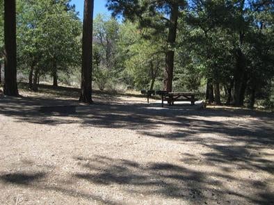 Camper submitted image from Green Spot Equestrian Campground - 3