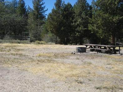 Camper submitted image from Green Spot Equestrian Campground - 1