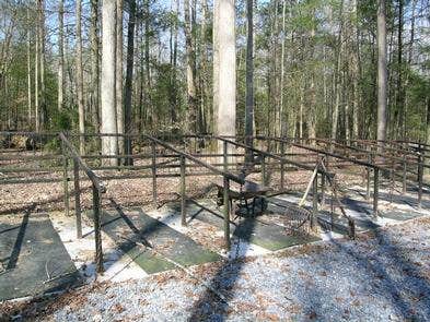 Camper submitted image from Big Creek Horse Camp — Great Smoky Mountains National Park - 4